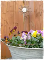 Frühling24.webp