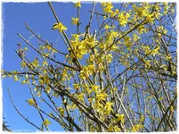 Frühling28.webp