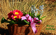 Frühlingsgruss_März_1024.webp