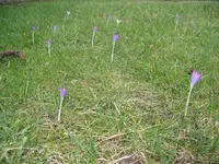 IMGP6000.webp