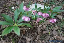 comp_DSC00993.webp
