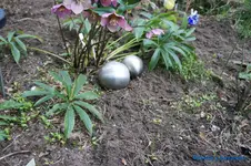 comp_DSC00990.webp