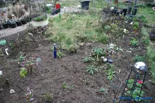 comp_DSC00991.webp