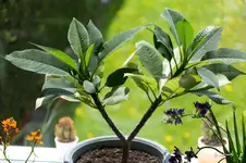 blog_SAM_7472_12052013.webp