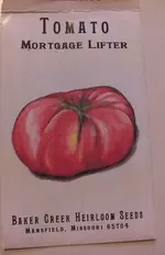 m2.webp