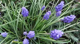 010.webp