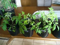 DSCF7655.webp