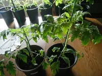 DSCF7657.webp