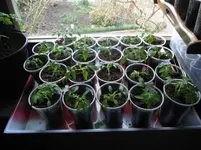DSCF7663.webp