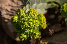 Stg 14-03-21-1306.webp