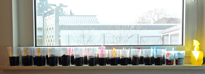 22042014_Samen gesetzt_700.webp