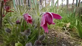 WP_20140323_003.webp