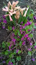 WP_20140323_004.webp