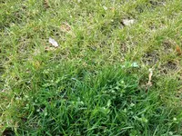 IMG_0542.webp