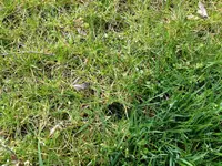 IMG_0543.webp