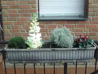 Herbstschmuck (2).webp