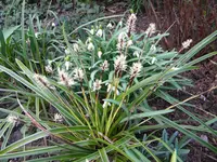 DSCN6780.webp