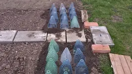 20140322_174844.webp
