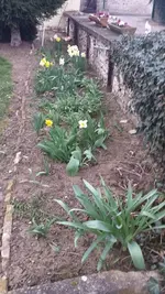 20140322_174811.webp