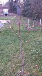 20140322_175002.webp