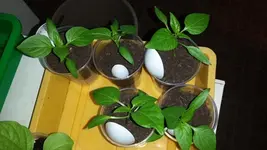 20140322_174523.webp