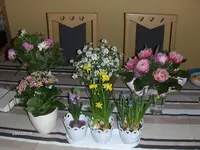 HPIM0326.webp
