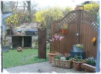 Blick in Garten.webp