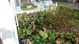 20140323_092607.webp