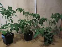 K1600_IMG_0191.webp