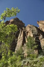 Zion4.webp