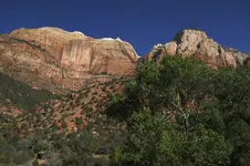 Zion.webp