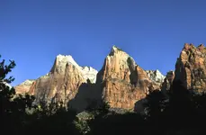 Zion1.webp