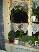 IMGP4794.webp