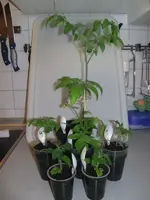 2014-03-23 KTW_Gruppenbild.webp