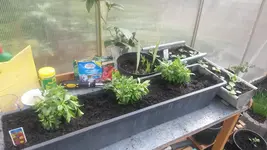 2014-03-22 10.38.03.webp