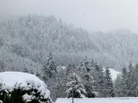 CIMG7000.webp