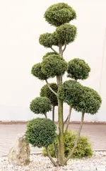 Ga 14-03-24-1319.webp