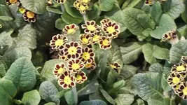 012.webp