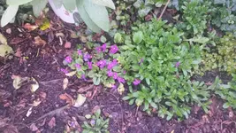 20140324_164904.webp