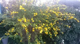 20140324_164934.webp