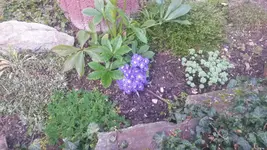 20140324_164950.webp