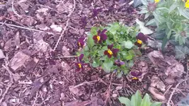 20140324_165036.webp