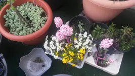20140324_165316.webp