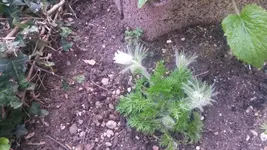 20140324_165451.webp