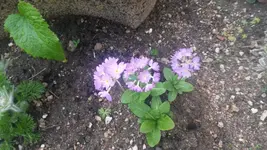 20140324_165456.webp