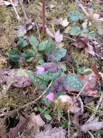 20140324_175647.webp