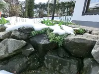 CIMG7002.webp