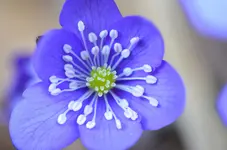 DSC_0002.webp