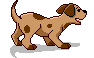 gif.php 2.gi.gif