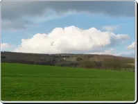 es grünt so grün.webp